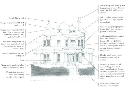 Daniel Optical Diagram